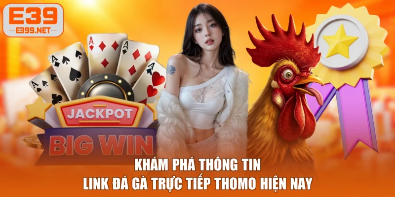 Khám phá thông tin link đá gà trực tiếp Thomo hiện nay