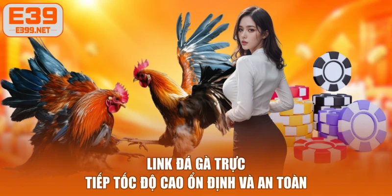 Link Đá Gà Trực Tiếp Tốc Độ Cao Ổn Định Và An Toàn